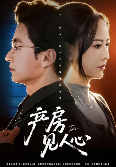 产房见人心（98集）珑一＆任燕 高清完整版